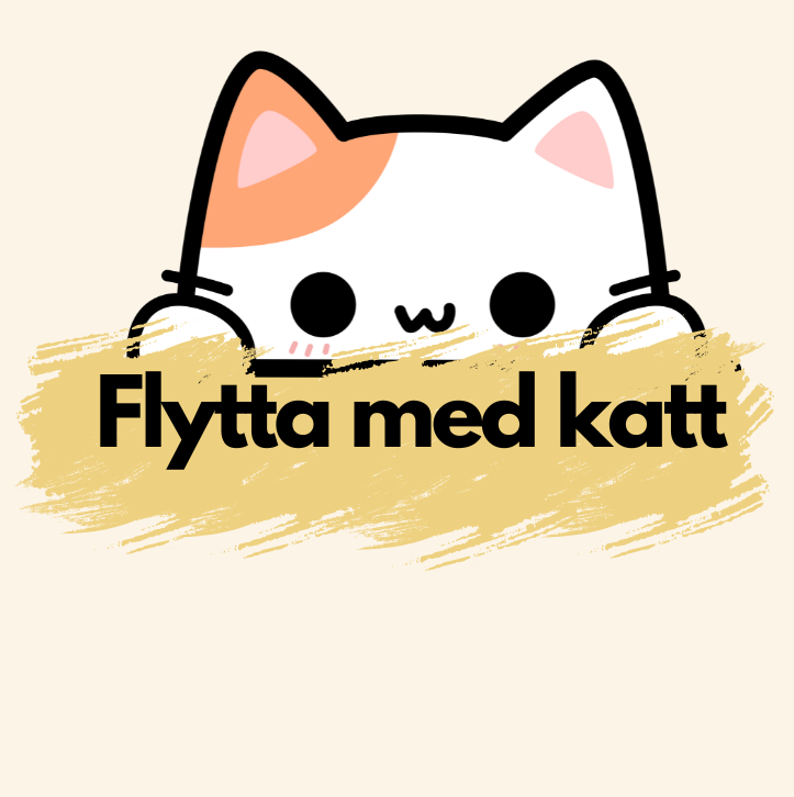 Flytta med katt