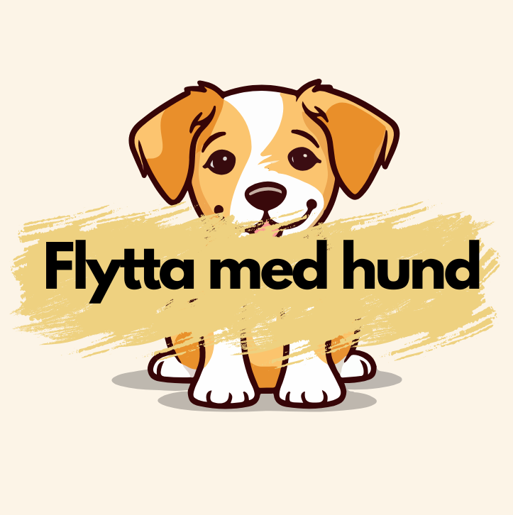 Flytta med hund